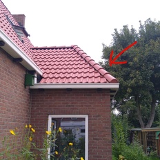 Afbeeldingslocatie: https://tweakers.net/i/CWaCGAB3xfZK9GqfYTP7EnK7p_Y=/232x232/filters:strip_icc():strip_exif()/f/image/gBIV1demp3oIqjMYc6qh6j6K.jpg?f=fotoalbum_tile