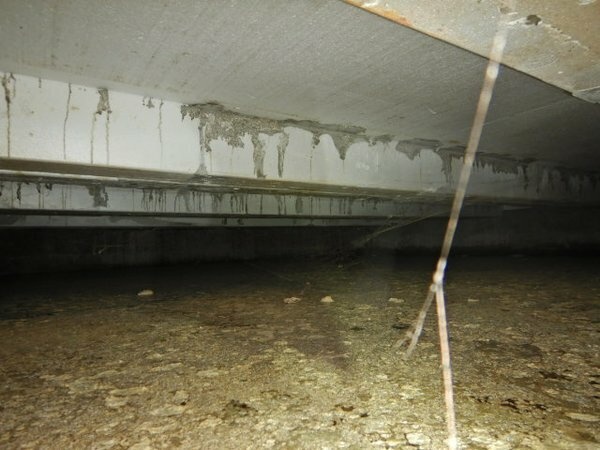 Afbeeldingslocatie: https://tweakers.net/i/CWh8S1RHdI5FkWeEpZHjeEyzflg=/full-fit-in/4920x3264/filters:max_bytes(3145728):no_upscale():strip_icc():fill(white):strip_exif()/f/image/1h51NcgBGjpfOXDJFd2JYMKE.jpg?f=user_large