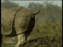 Afbeeldingslocatie: https://tweakers.net/i/CXzYzynnKS2HJF_ggh6s0BO7R6k=/fit-in/4000x4000/filters:no_upscale():gifsicle():strip_exif()/f/image/2PQGn9UaCGqigrccN7PsTvdy.gif?f=user_large