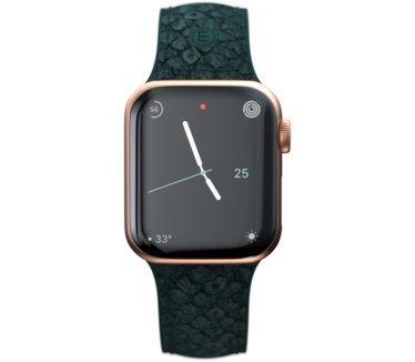 Njord byElements Salmon Leather Watch Strap - Apple Watch 40/41mm - Jörð