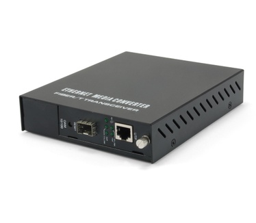 LevelOne RJ45 to SFP Managed Fast Ethernet Media Converter