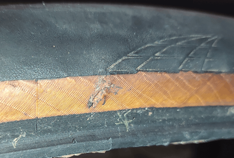 Afbeeldingslocatie: https://tweakers.net/i/CamyHngLXqPameqHeVmmvJuvhKY=/800x/filters:strip_exif()/f/image/PnPRMuC740KST7zm5X8UHM93.png?f=fotoalbum_large