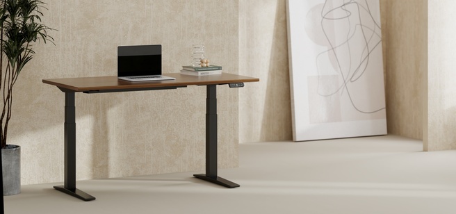 Flexispot E7PRO