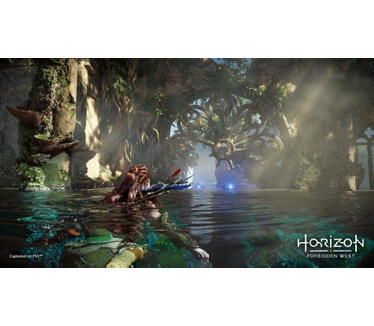 Horizon: Forbidden West, PS5