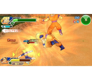 Dragon Ball Z: Tenkaichi Tag Team