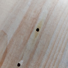 Afbeeldingslocatie: https://tweakers.net/i/Cfy5nEvJaASlJ7RuDzvsjok1WWs=/232x232/filters:strip_icc():strip_exif()/f/image/bEM545cyDhLYyWof9lHn1O88.jpg?f=fotoalbum_tile