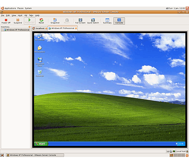 Vmware Server draait Windows op een Linux-server