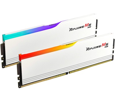G.Skill F5-6000J2836G32GX2-RM5RW