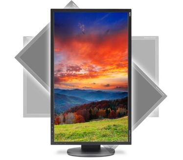 NEC EA244WMi Zwart