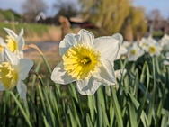 Xiaomi 17 Cameratest - Twee keer zoom