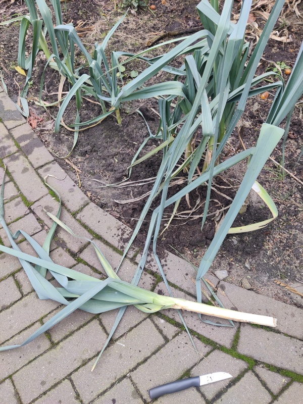 Afbeeldingslocatie: https://tweakers.net/i/Cj9gk23H-_0fydHajgTLRewNDuk=/x800/filters:strip_icc():strip_exif()/f/image/f8YXpET98GY70t9VZlMdo4YD.jpg?f=fotoalbum_large