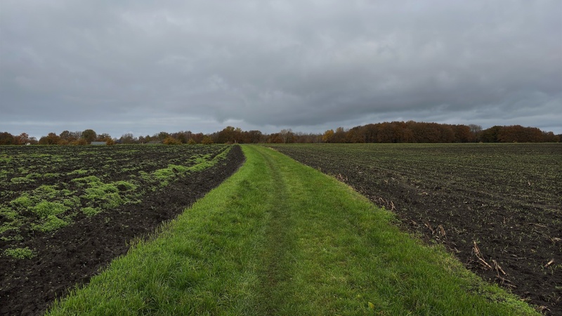 Afbeeldingslocatie: https://tweakers.net/i/CjYJQKFohztSnN8gipG5Doxyj4w=/800x/filters:strip_icc():strip_exif()/f/image/vZdK9TOknomNOK5OCL7w8bPz.jpg?f=fotoalbum_large