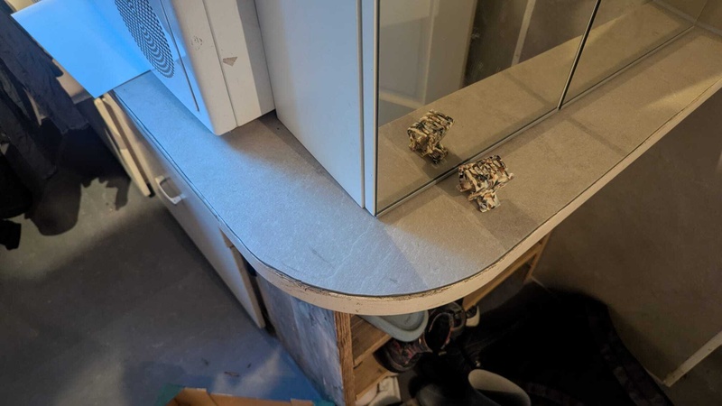 Afbeeldingslocatie: https://tweakers.net/i/CkfKQ2pfLpUF7nrP9rVPXLTU2cE=/800x/filters:strip_icc():strip_exif()/f/image/cNSYiFQbz3vYGJuD5KziUFXC.jpg?f=fotoalbum_large