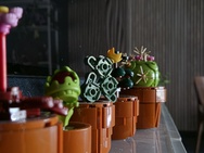 Cameratest iPhone 17e - Twee keer zoom