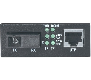 Intellinet 545068