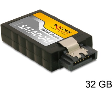 Delock 32GB SATA