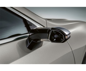 Lexus buitenspiegels