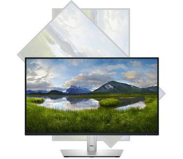 Dell P2225H