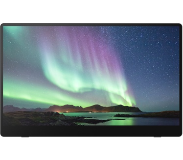 Ricoh Draagbare monitor 150