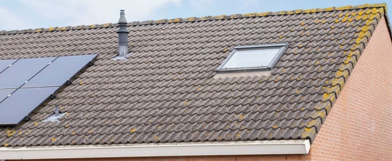 Afbeeldingslocatie: https://tweakers.net/i/Ctx3yHs78y-Pjc7s3WK-iBsoYUI=/800x/filters:strip_icc():strip_exif()/f/image/EXdczBN6dHRTyvFAJCutCk5i.jpg?f=fotoalbum_large