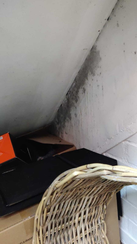 Afbeeldingslocatie: https://tweakers.net/i/CuIHFPLejbWNOsxY643zvpDL6I8=/x800/filters:strip_icc():strip_exif()/f/image/BBn1MgmhTtwPXV1VVVZAiGN8.jpg?f=fotoalbum_large