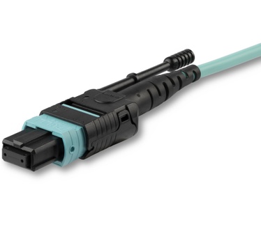 Startech.com MPO12PL10M