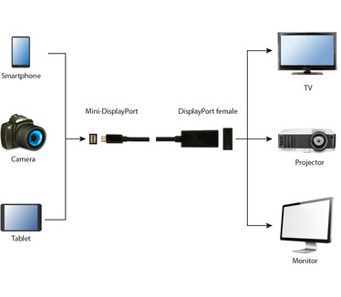 Gembird A-mDPM-DPF4K-01 Zwart
