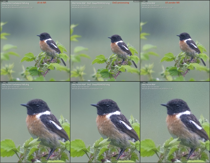 Afbeeldingslocatie: https://tweakers.net/i/CyOwol-jcWI4s818DaANU30cQaw=/800x/filters:strip_icc():strip_exif()/f/image/qKhB6iSJf1rjBpukPnxMU9Cn.jpg?f=fotoalbum_large