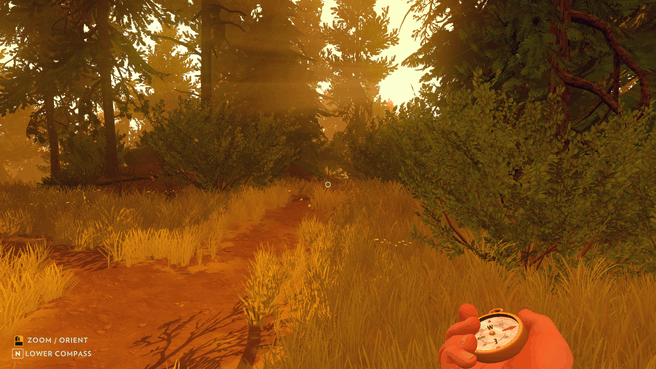 Review Firewatch