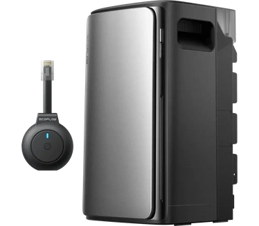 EcoFlow EcoFlow AC Pro + P1