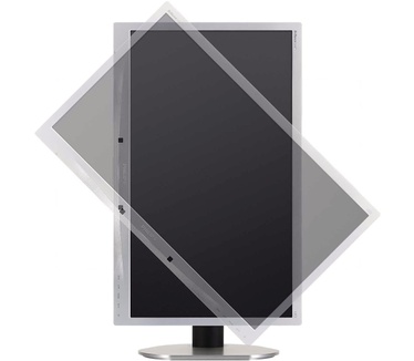 Philips Brilliance 220B4LPCS Zilver