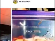Scrollen in Instagram