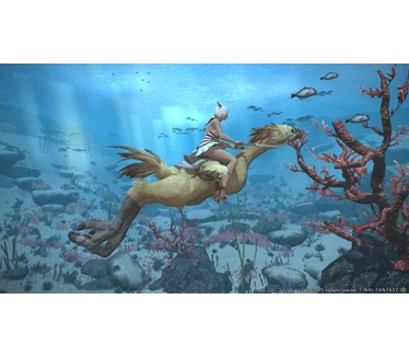 Final Fantasy XIV Stormblood, Windows
