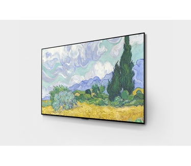 LG OLED55G1RLA Zwart