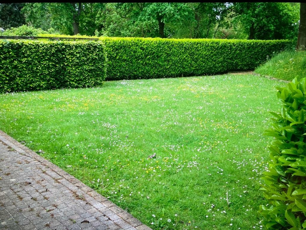 Afbeeldingslocatie: https://tweakers.net/i/D9yXAZ7I6l35S5lzpllolhGo8mw=/full-fit-in/4920x3264/filters:max_bytes(3145728):no_upscale():strip_icc():fill(white):strip_exif()/f/image/BrXWbSzRyUxlWQS8VEPgq2zC.jpg?f=user_large