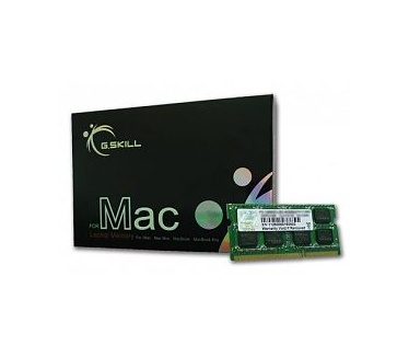 G.Skill FA-1600C11D-16GSQ (Mac)