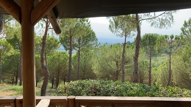 Afbeeldingslocatie: https://tweakers.net/i/DDATzohdSrK1VUOyEFQFLL3OmfU=/full-fit-in/4920x3264/filters:max_bytes(3145728):no_upscale():strip_icc():fill(white):strip_exif()/f/image/PiWEr2ddD4vhK0qXu0uJGD7u.jpg?f=user_large