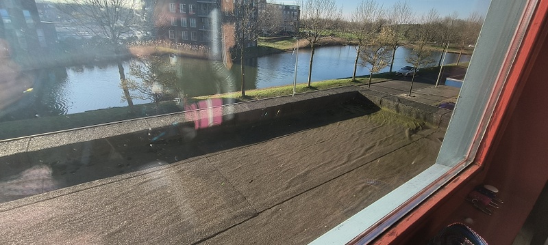 Afbeeldingslocatie: https://tweakers.net/i/DH_naMN1NAqtlGz1PJredxCLvNg=/800x/filters:strip_icc():strip_exif()/f/image/9SbRXMrur1OxqVwhrpGywG1s.jpg?f=fotoalbum_large