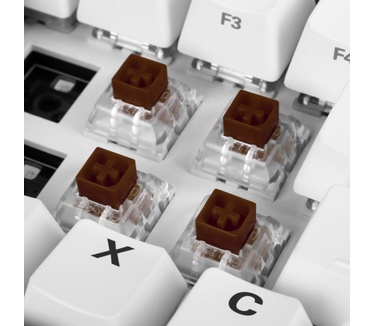 Sharkoon Tactile Kailh Box Brown
