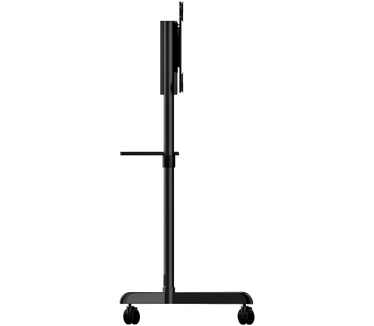 Startech.com MBLTVSTNDEC