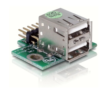 Delock DeLOCK USB Pinheader | 41763