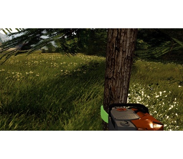 Forestry 2017, Windows