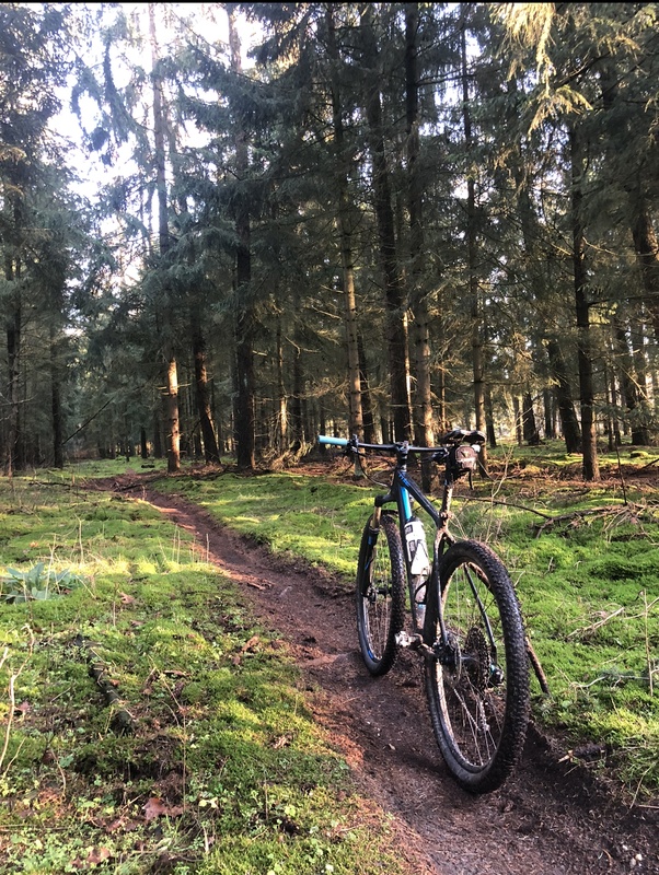 Afbeeldingslocatie: https://tweakers.net/i/DN5kNrDkws8Z9bmz23BVw6oX7zg=/x800/filters:strip_icc():strip_exif()/f/image/a6xbi8pLv5WVLjcDSPudT4h1.jpg?f=fotoalbum_large