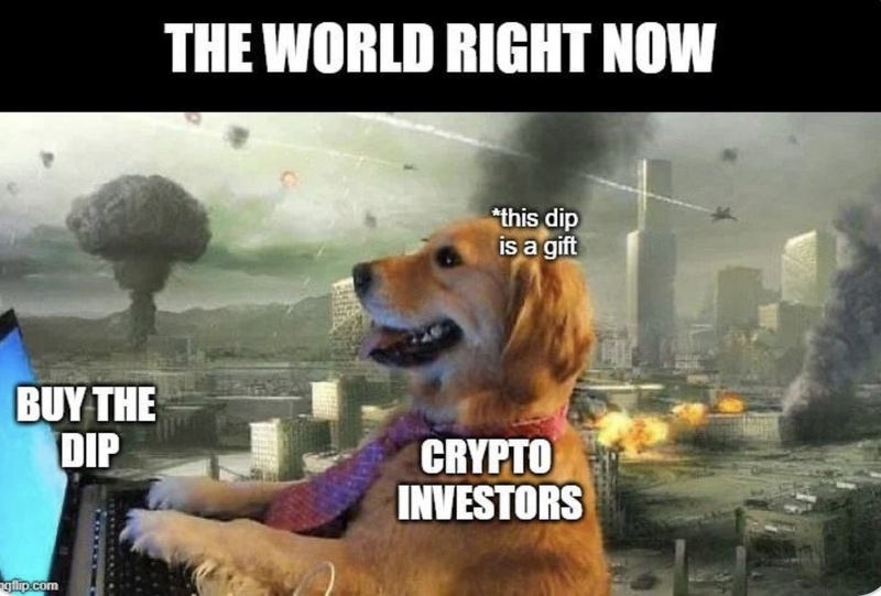 Afbeeldingslocatie: https://tweakers.net/i/DPisRDe1_Nsdpbaf1S-QCt9N4gU=/800x/filters:strip_icc():strip_exif()/f/image/UdzHBUB69NNmQ3L0Lz8hajiW.jpg?f=fotoalbum_large