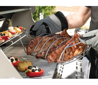 Weber Summit S-670