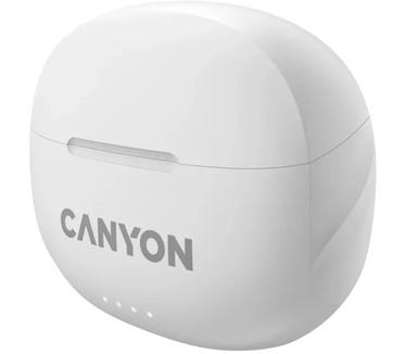 Canyon CNS-TWS8W