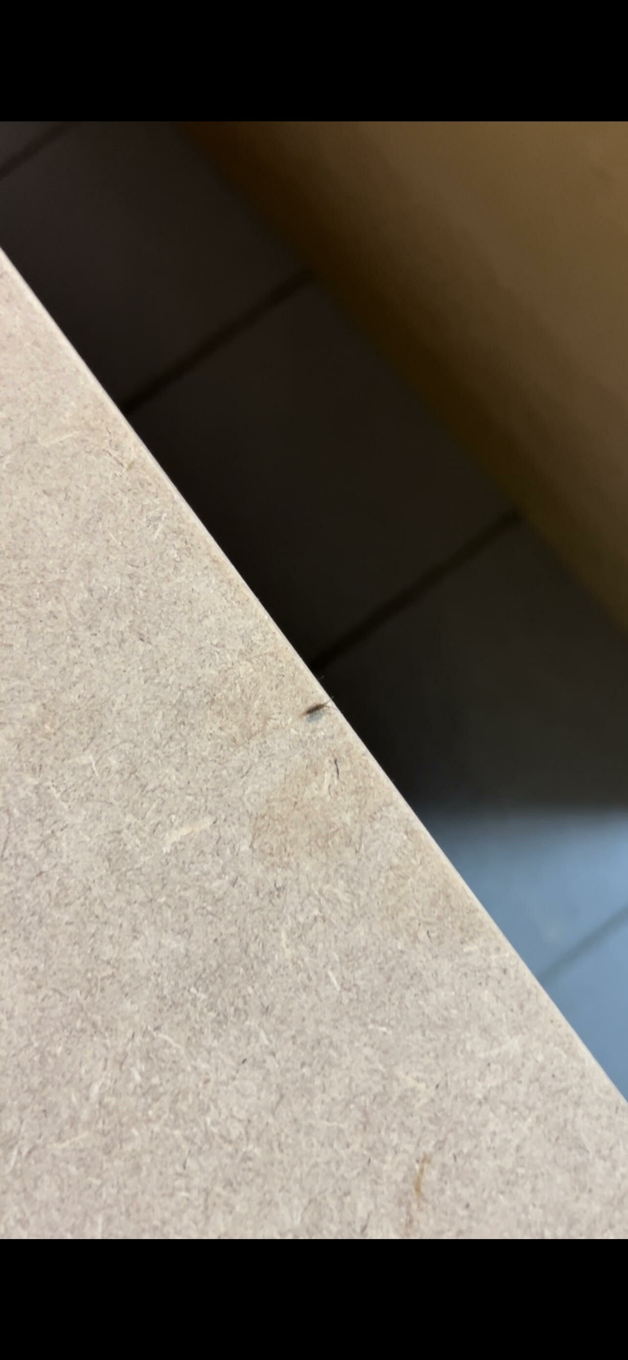 Het grote 'welk insect/beest(je) is dit?!' topic - Algemene zaken - GoT
