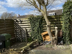 Afbeeldingslocatie: https://tweakers.net/i/DTazbFLUmexgPoo5dYAzHT36sgE=/234x176/filters:strip_icc():strip_exif()/f/image/9lqfS8UhM2sQ2qKP0WgHOpCR.jpg?f=fotoalbum_medium