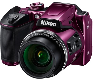Nikon B500