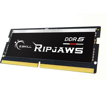 G.Skill Ripjaws F5-5600S4645A48GX1-RS